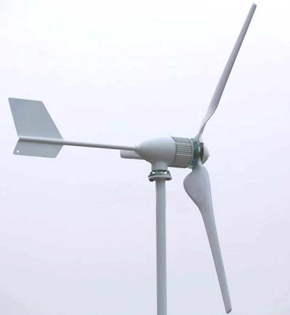 Horizontal 500W 24V 12V Wind Mill Generator for Home Use