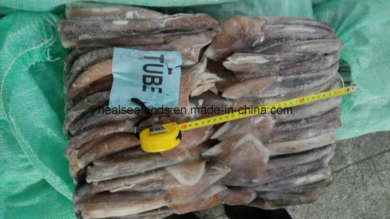 Seefrozen Illex Squid Tube