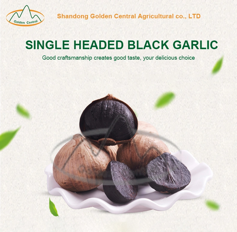 China Garlic Healthy Black Garlic High quality/High cost performance Wholesale/Supplier