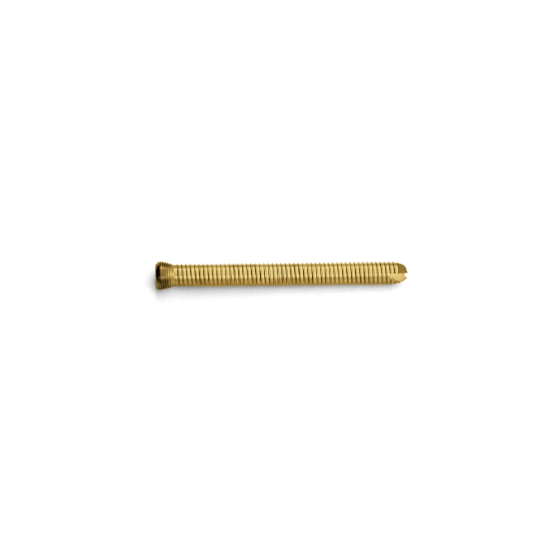 Medical Orthopedic Titanium Implant 2.5mm Conical Headless Compression Screw