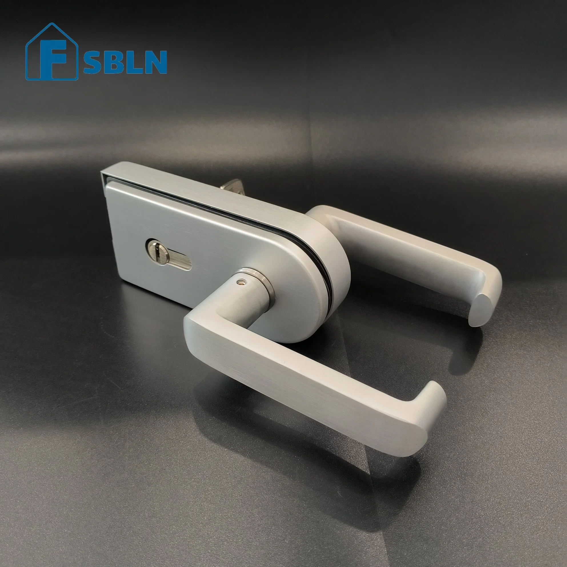 Bln Stainless Steel Glass Door Hardware with Fix Handle