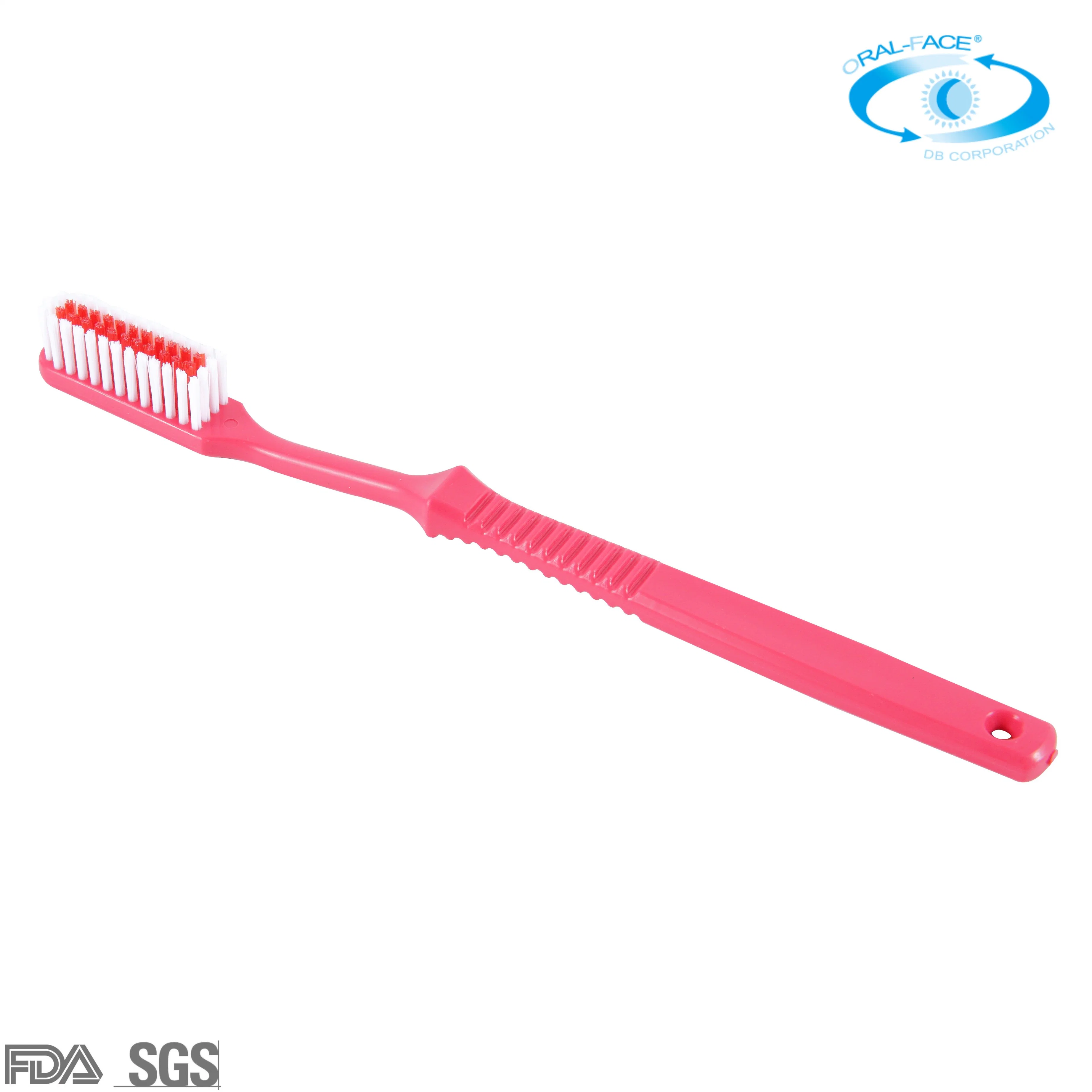 Daily OEM Colorful Adult Wholesale Household/Travel Oral Care Toothbrush