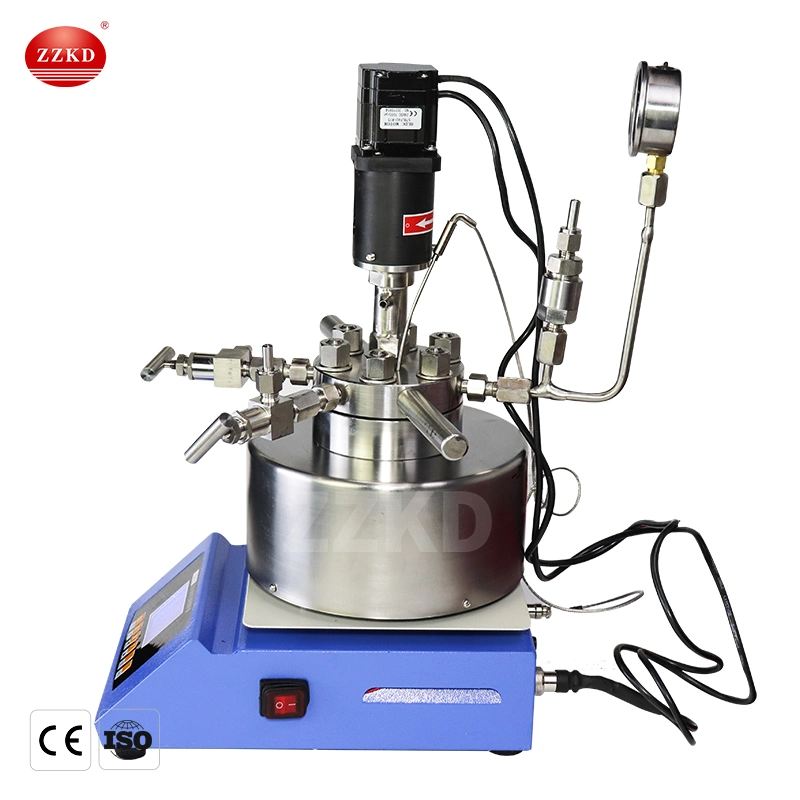 CE 50ml~500ml Lab Table Top Chemical Magnetic Stirrer Autoclave High Pressure Reactor Autoclave Equipment for Sale