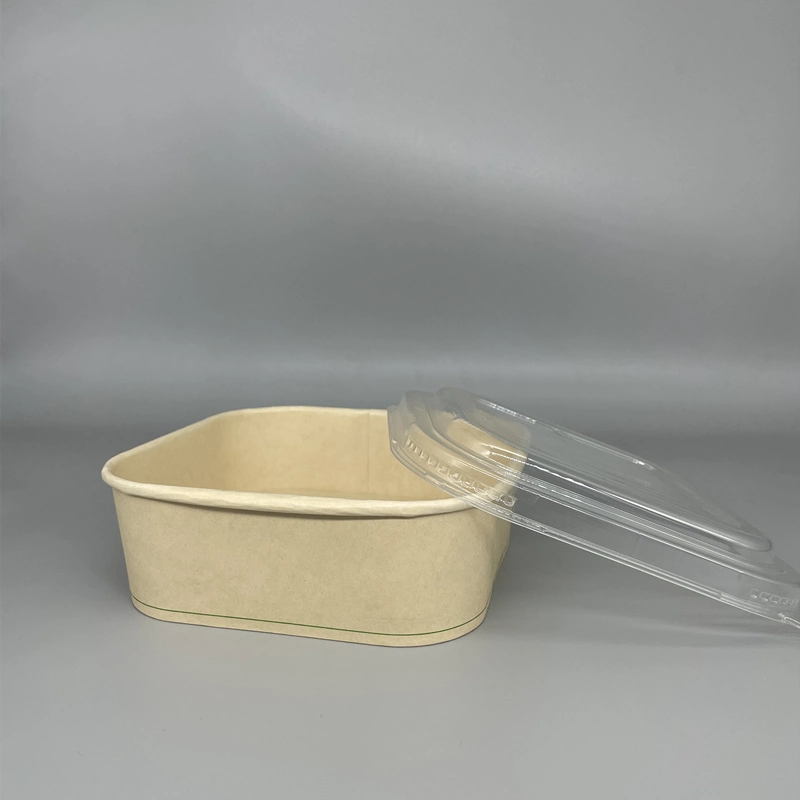 New Arrival PE/Biopbs/PLA Coating Bamboo Fiber Salad Bowl Noodle Paper Box Container