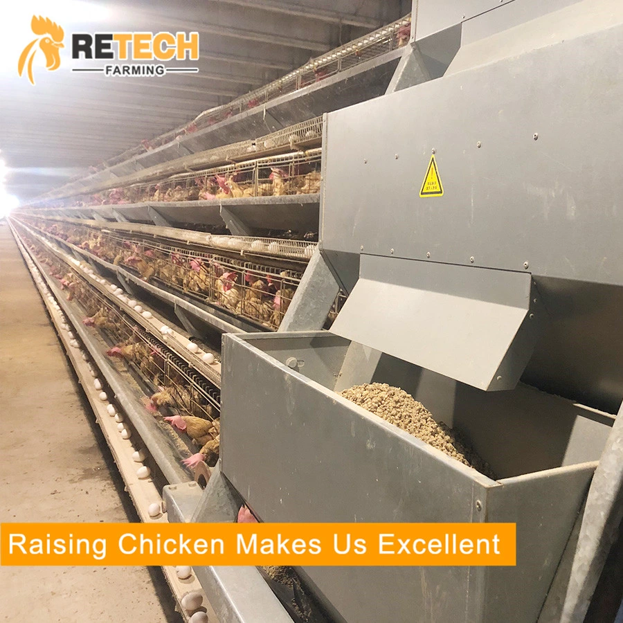 Automatic Poultry Farming Desig Chicken Feed Silo System