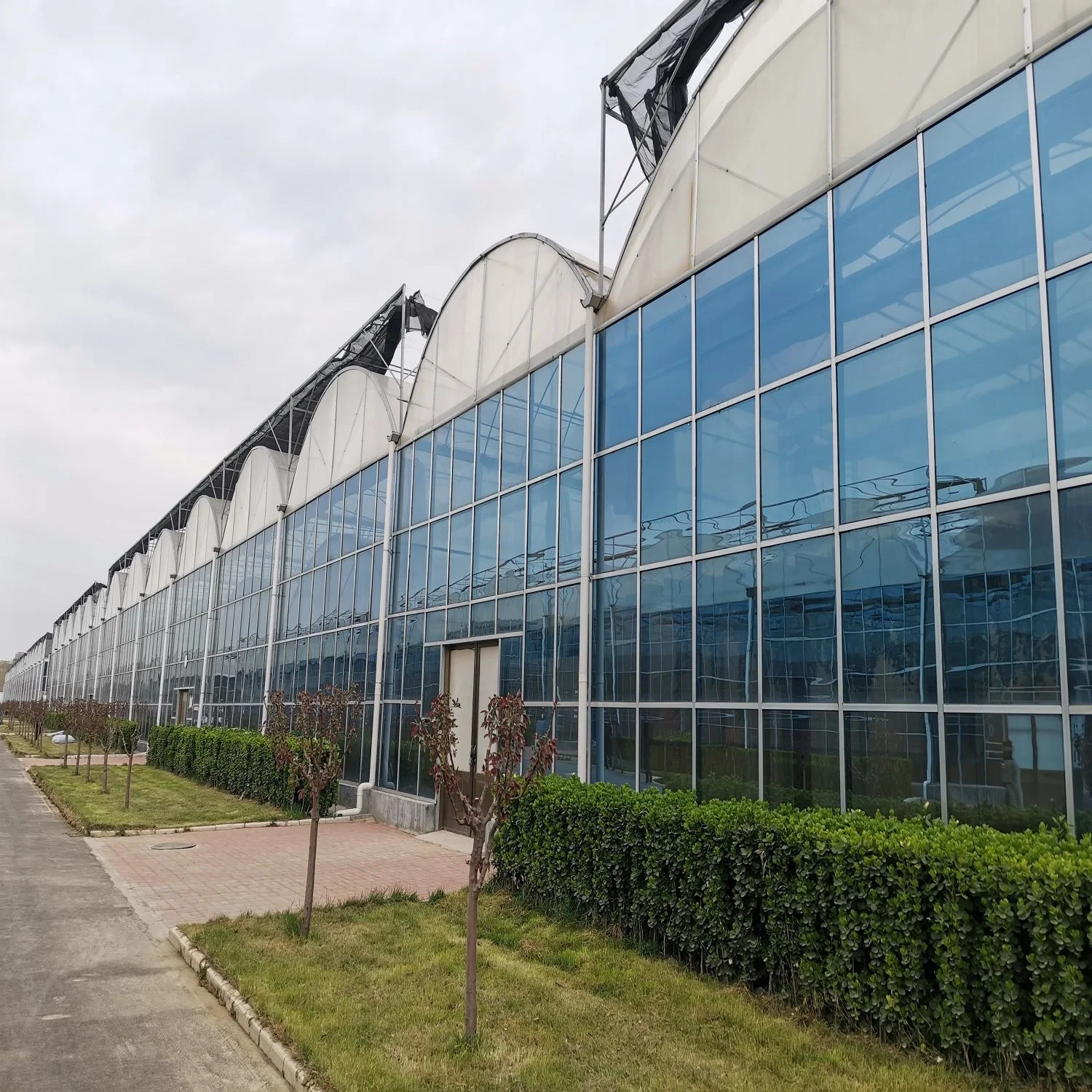 Ebb Glass Nursery Greenhouse with Shading Net System