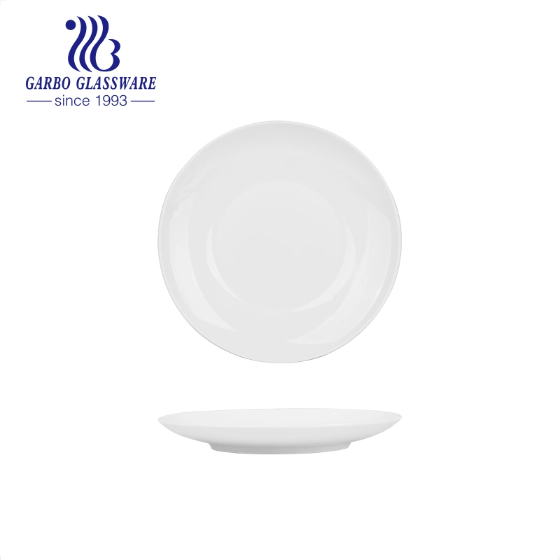 Ceramic Dinner Plates Set of 6 10 Inch Dish Set Hear Resistant Porcelain Serving Dishes Microwave Oven and Dishwasher Safe