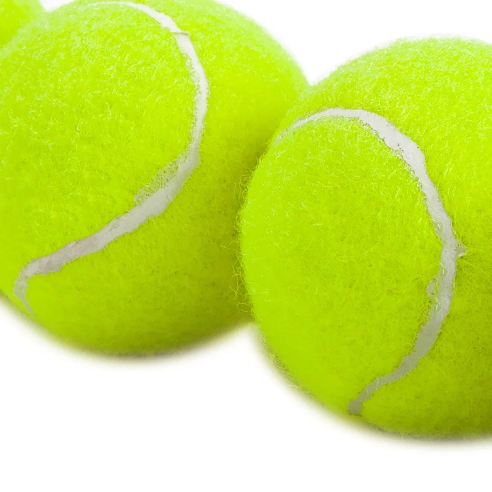 Penn Championship High Altitude Tennis Balls - Extra Duty Felt Pressurized Tennis Balls