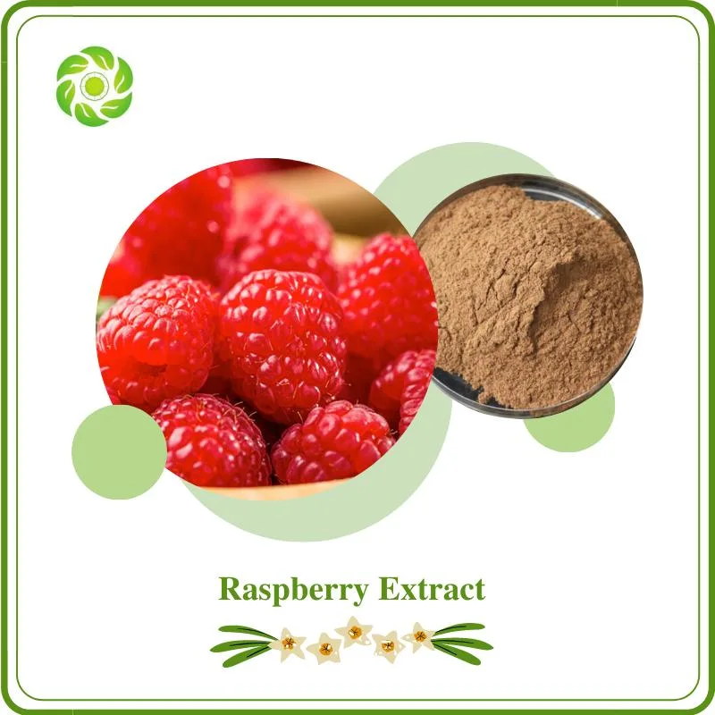 World Well-Being Food Additive Raspberry Extract 5% -98% Raspberry Ketone