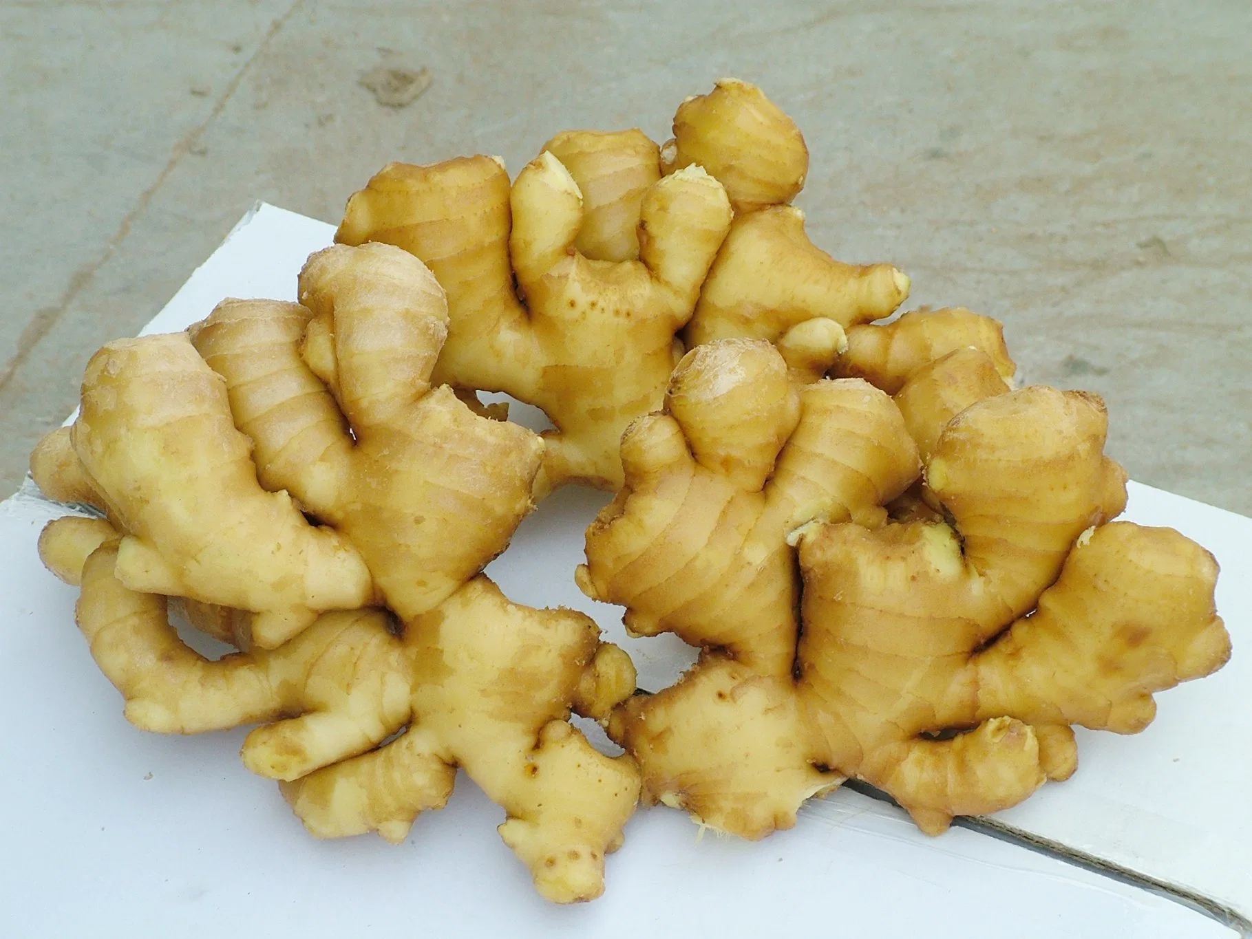 2023 Wholesale/Supplier Low Price Selected Top Quality New Crop Air Dry Ginger