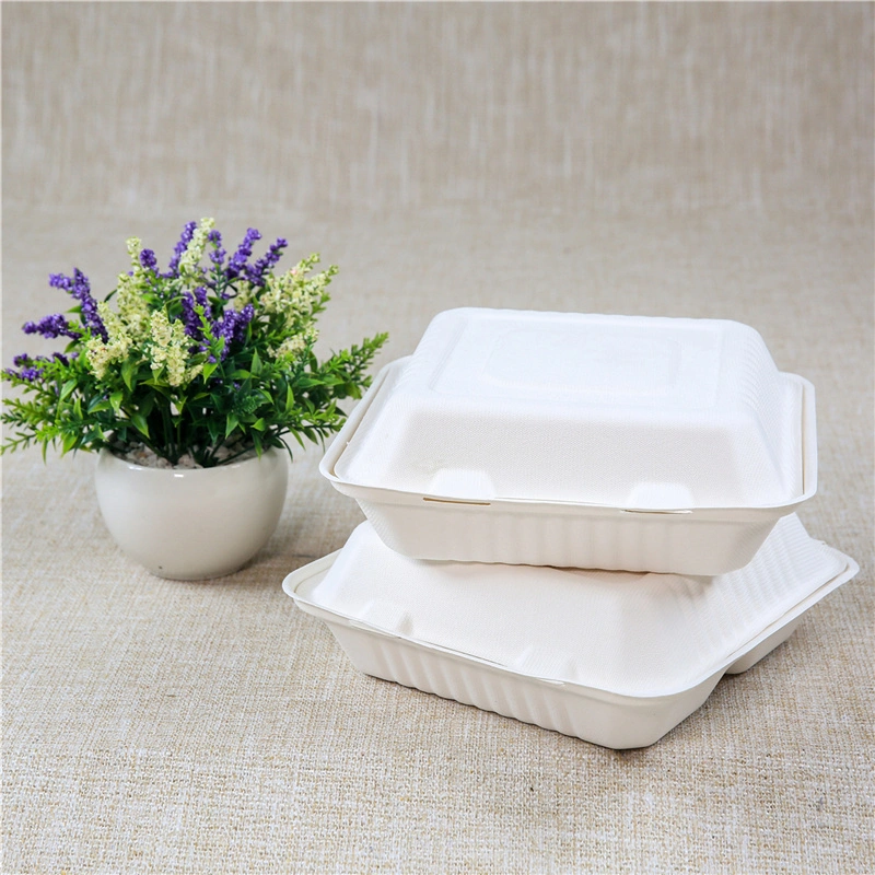 Sugarcanes Reuseable Foods in Bulk Insulated Food Container