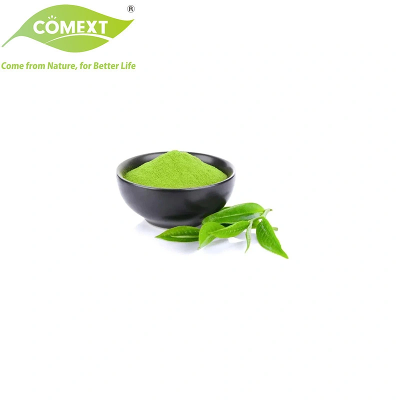 Comext Manufacturer Natural Organic Green Tea with Highest Epigallocatechin Gallate 98% Polyphenols