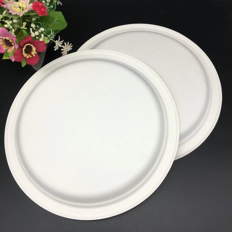 Custom Design Paper Plates Disposable Tableware