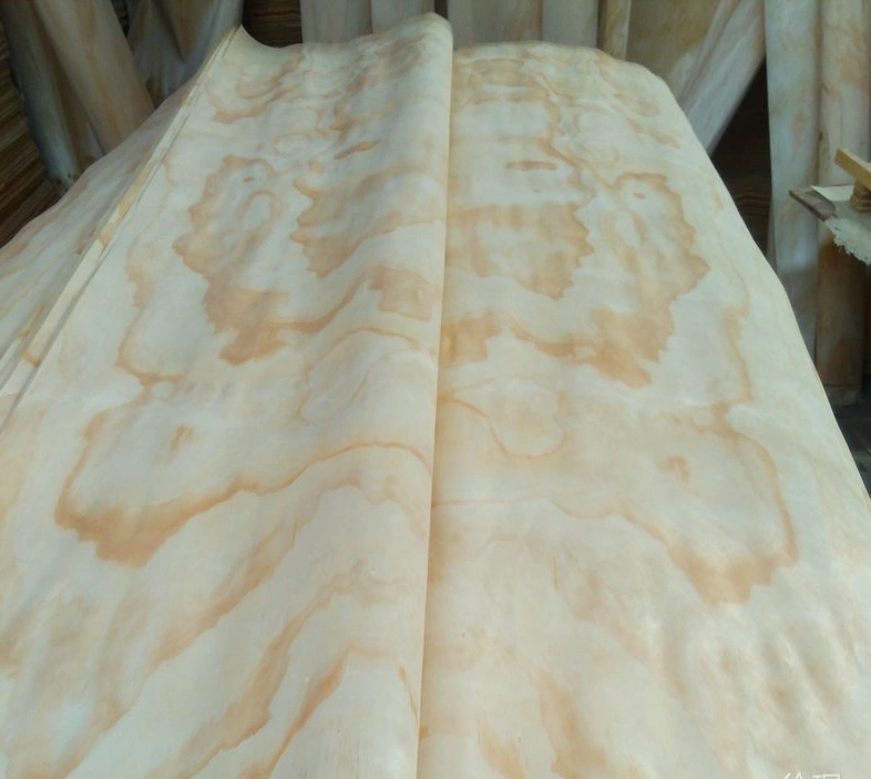 Rotary Cut Natural Radiata Pine Wood Face Veneer Without Knot