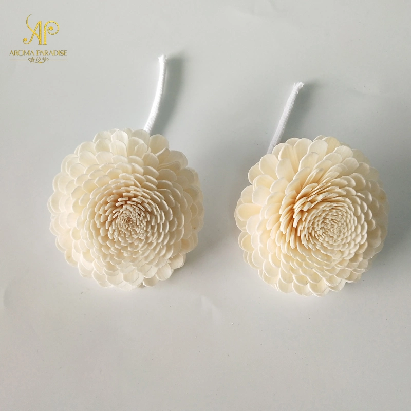 Hot Selling of New Items Sola Dried Wood Flowers Wholesale/Supplier for Reed Diffuser Air Fresher