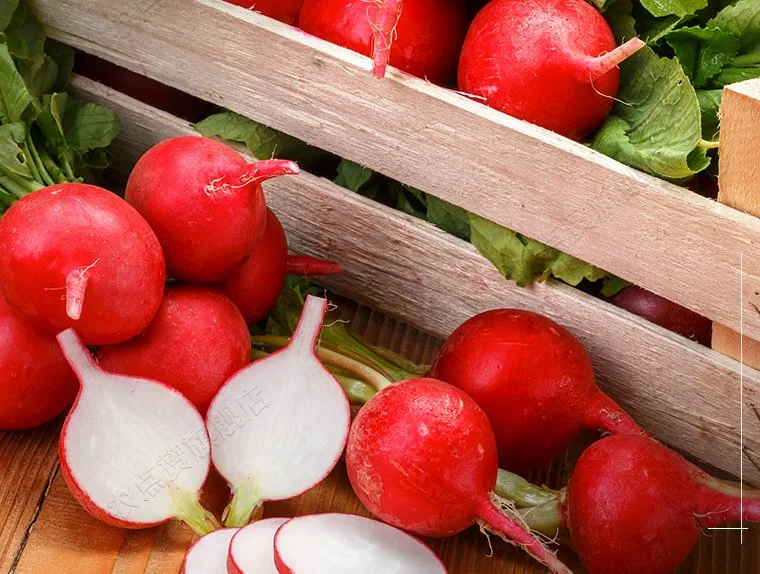 Healthy Tasty for Planting Red Cherry Radish Seeds