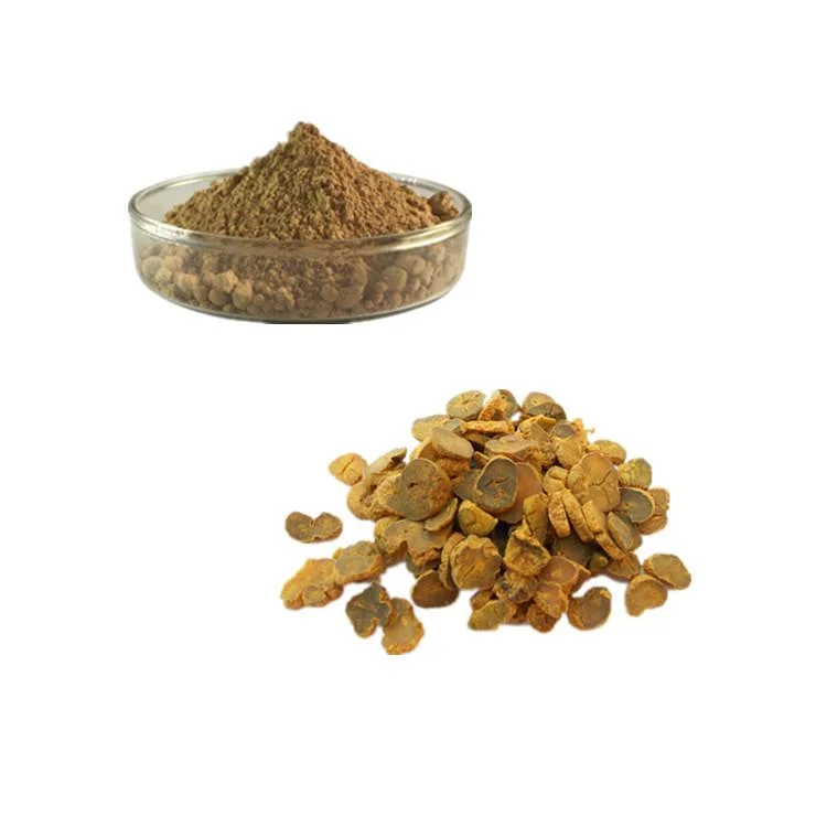 Pure 8: 110: 1 20: 1 Corydalis Root Extract/Yanhusuo Extract Powder for Relieve Pain