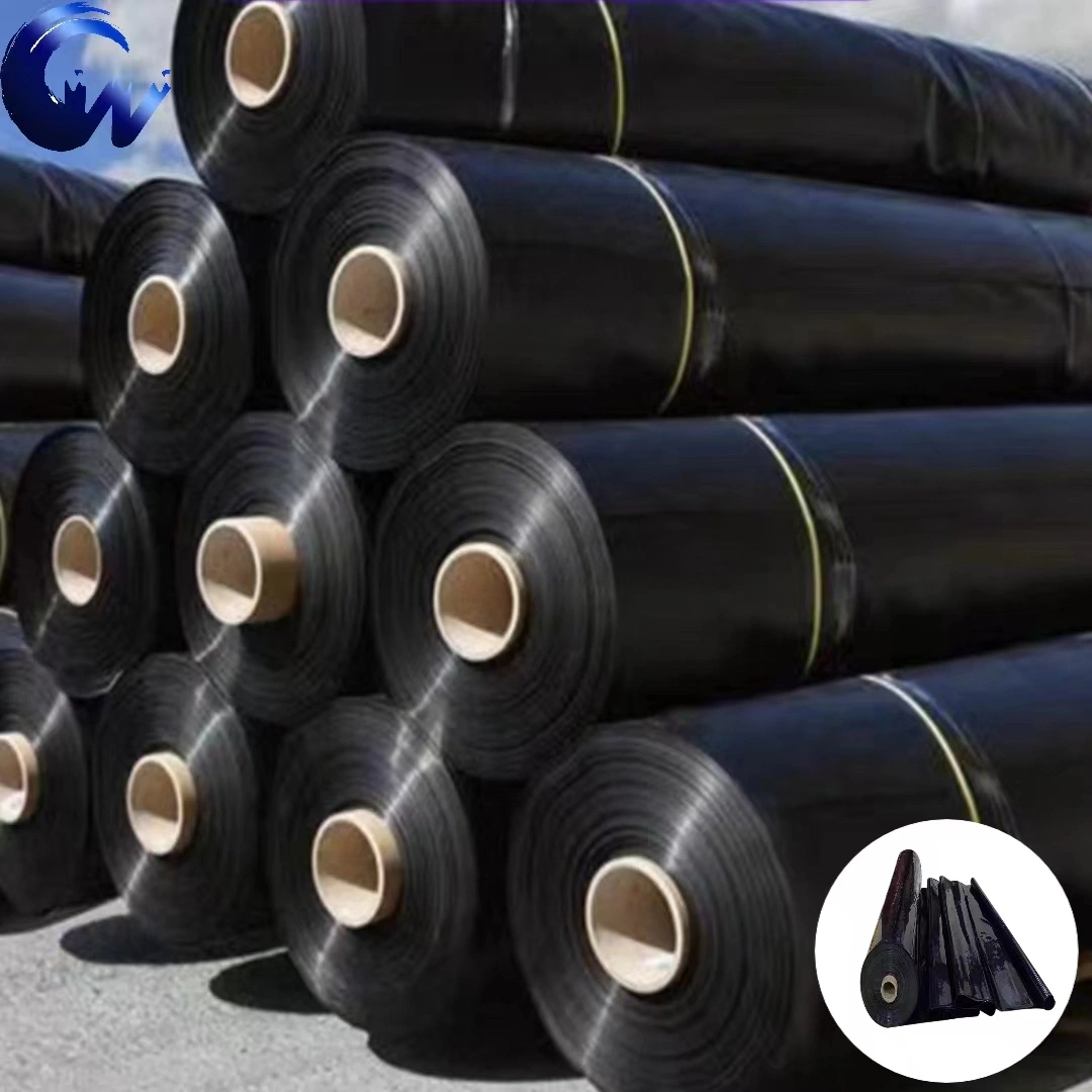Steel Structure/Polyester/Sewer Lateral Installation/Pool Liner/Blue Film Price/Piscina Waterproof HDPE/LDPE/LLDPE Geomembrane