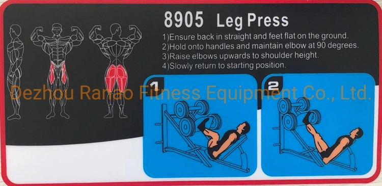 Wholesale/Supplier High-End Gym Free Weight Fitness Strength Leg Muscles Sports Equipment 45 Degree Leg Press Exercise Machine