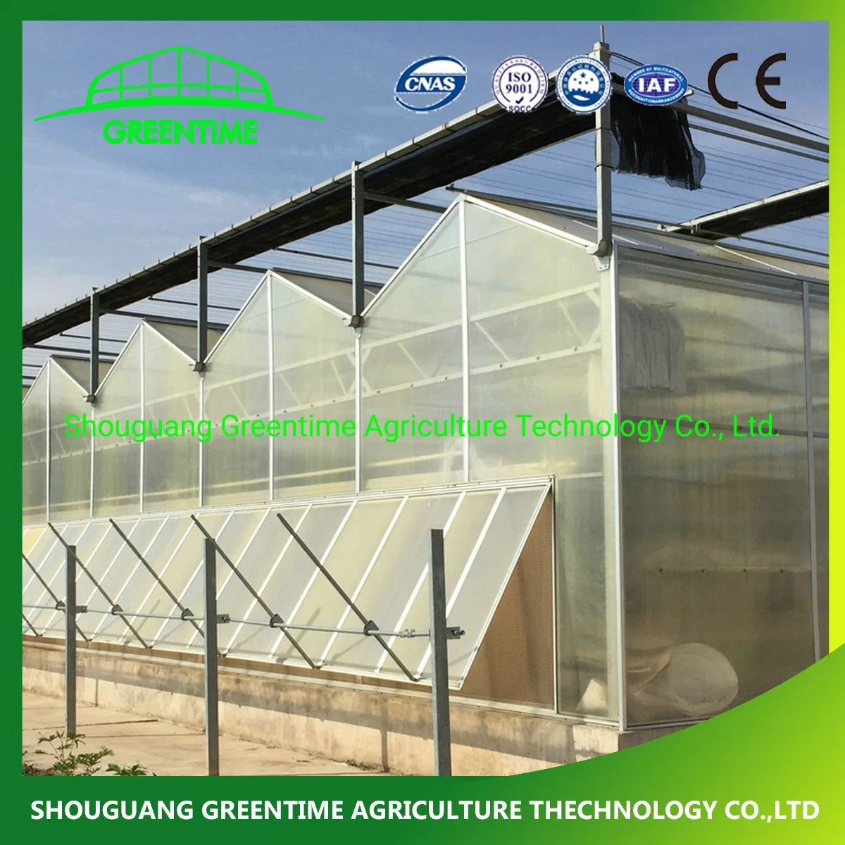 Hot-DIP Galvanized Steel PC Sheet Greenhouse with Hydroponic System