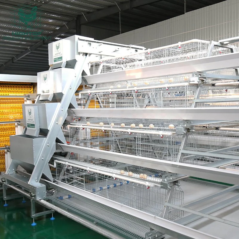 A Type Automatic Layer Egg Chicken Cages Poultry Farming Equipment System For Sale