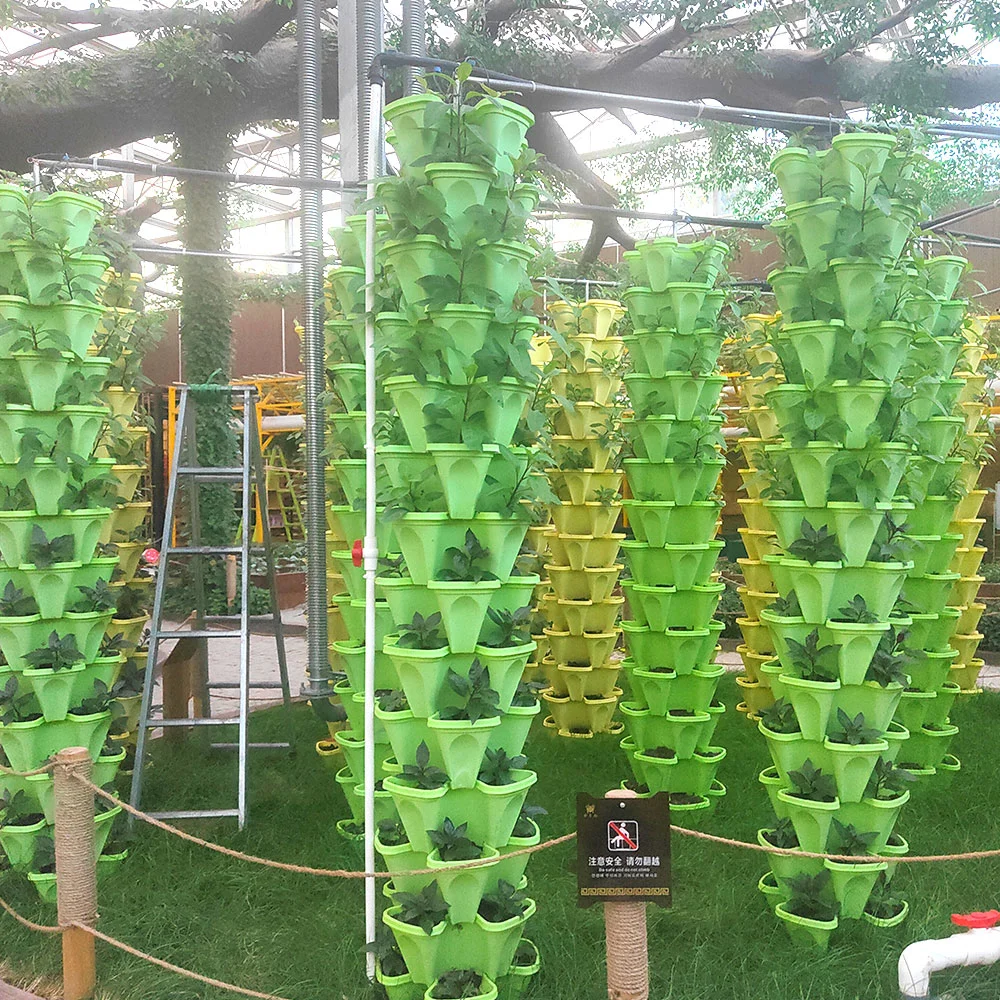 Fruit Soiless Cultivation Hydroponics Growing System with Glass/Film Greenhouse Temperature Control System