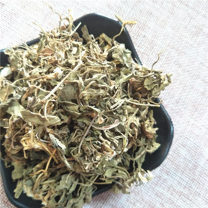 Zi Hua Di Ding Dried Herbs Chinese Viola Phillipina Herba