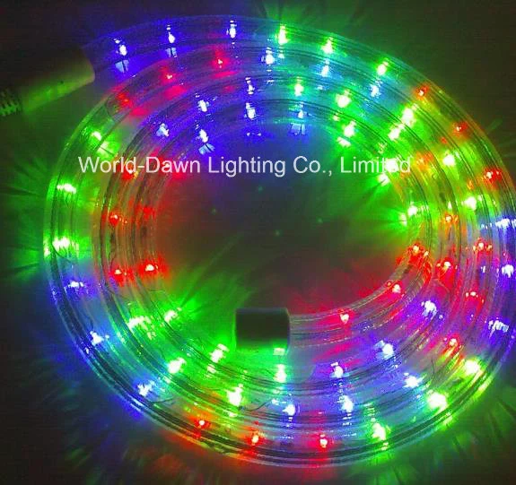 110V 220V LED Flexible Flat and Round DIP Rope Light for Multi Color