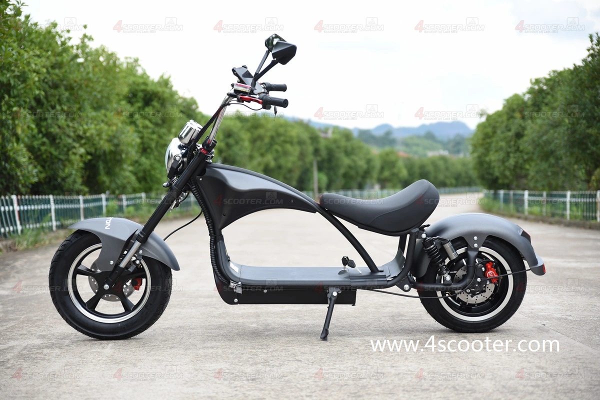 Wholesale/Supplier EEC Adult Electric Scooter Bike on Best Price