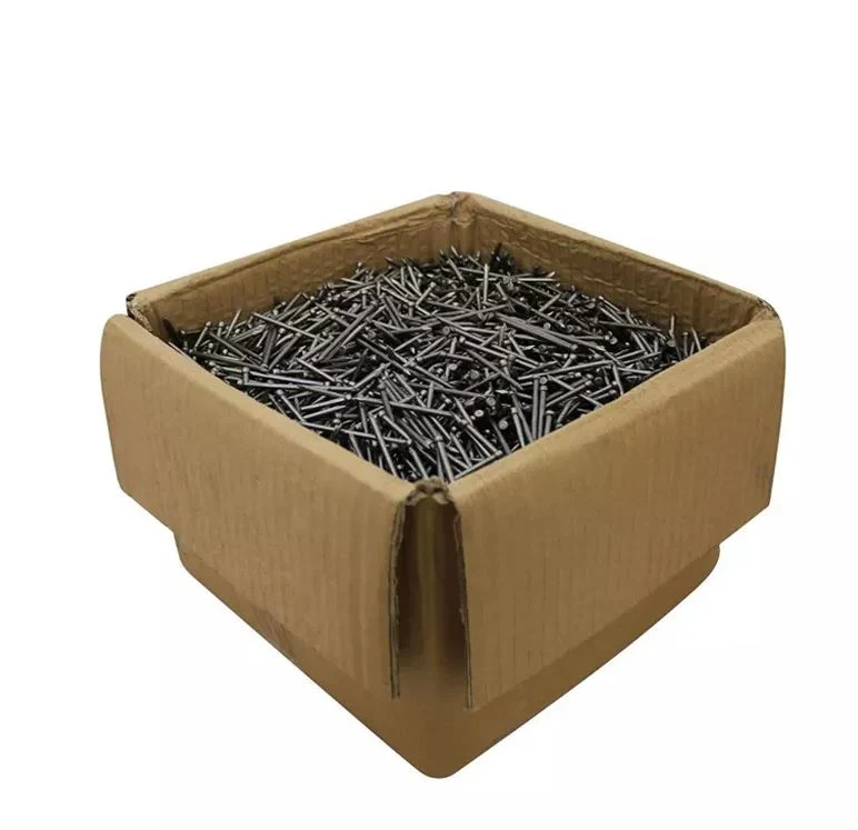 Hot Sale Common Round Nail Iron Wire Nails for Wood Building Construction