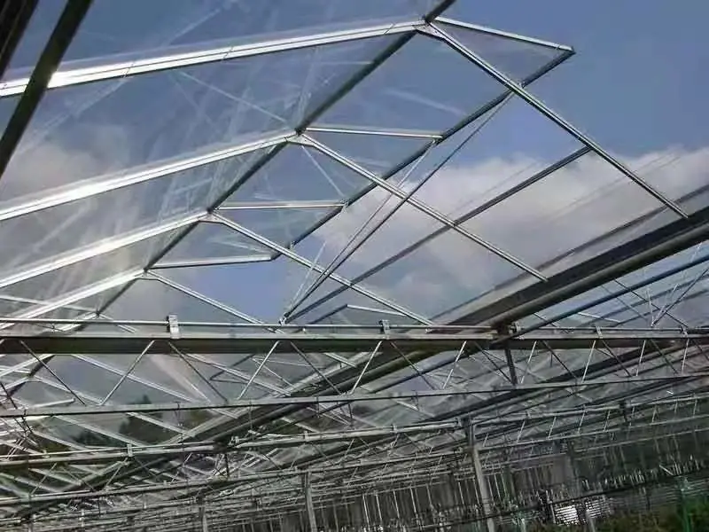 Polycarbonate Multi-Span Greenhouse for Vegetable and Commercial Greenhouse and Kit