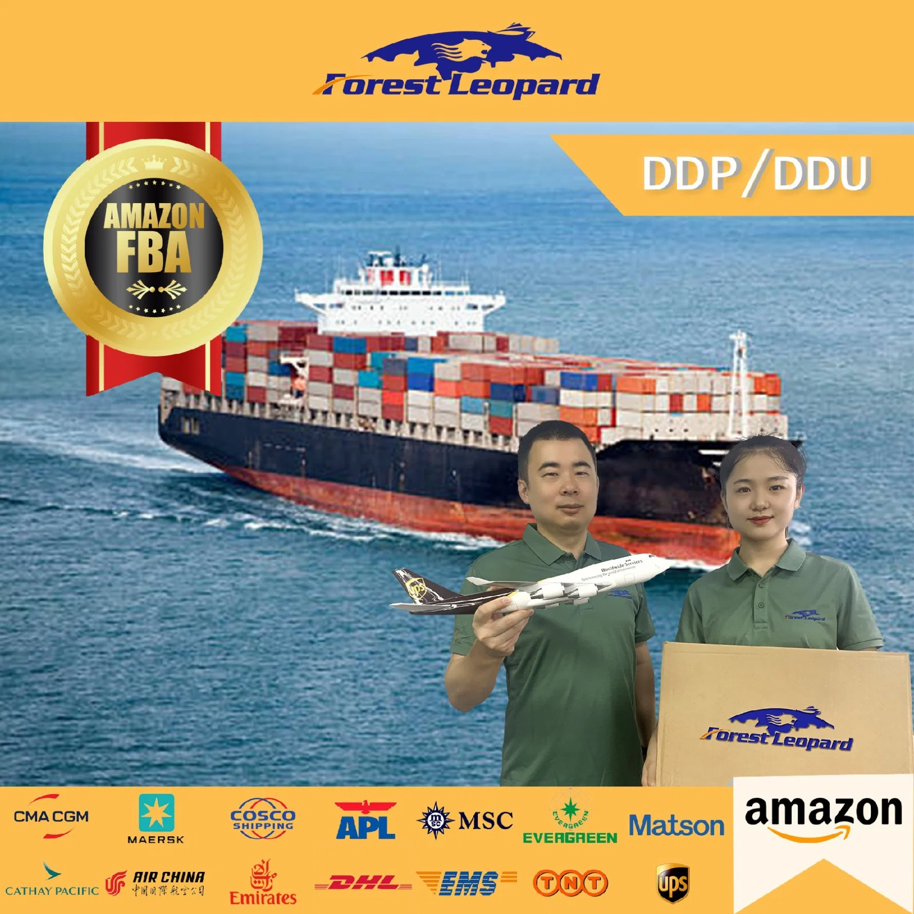 DDP/ DDU Shipping Agent Amazon Fba Freight Forwarder China to Dubai UAE USA UK Italy France Germany Australia LCL