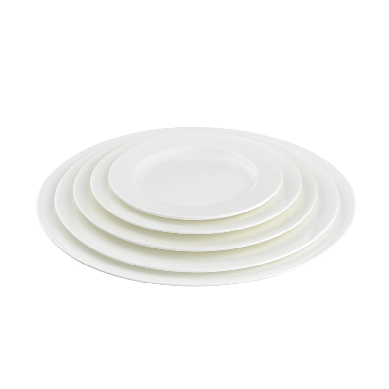 Classic Series Ceramics Restaurant Round Dinner Plates