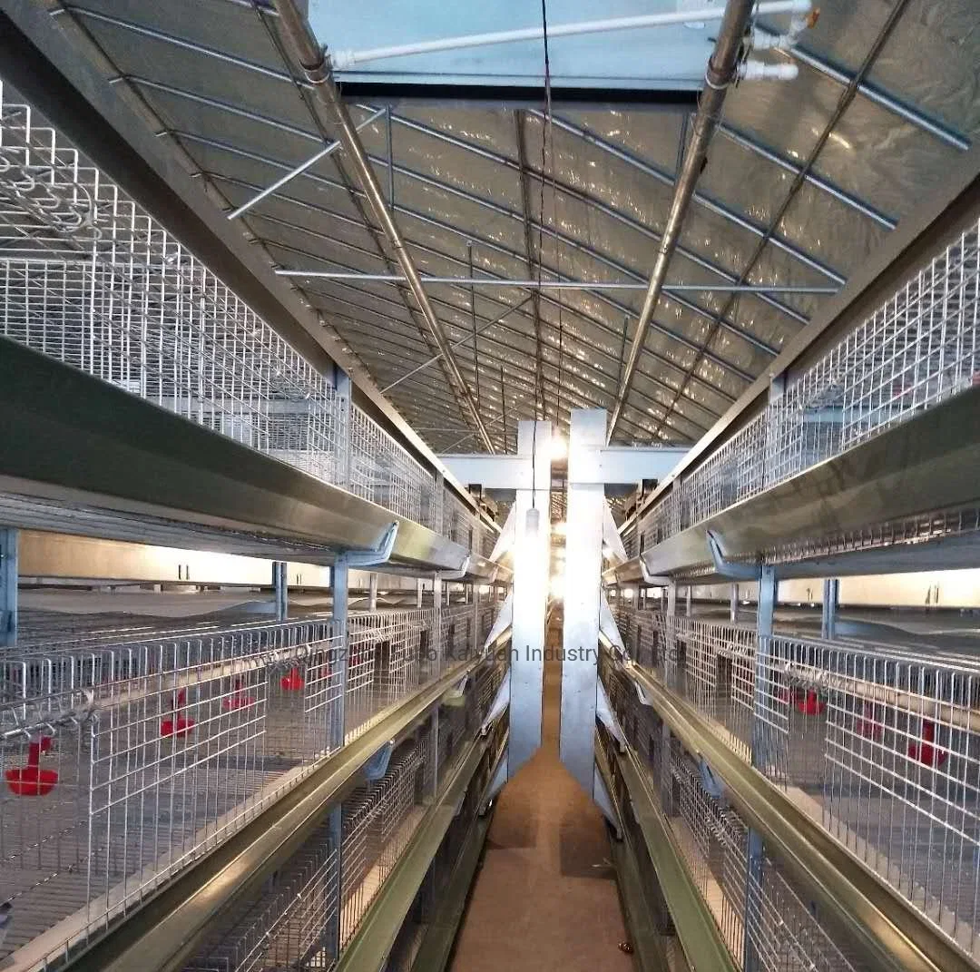 Sistema de jaulas de aves de corral/granja avícola el equipo de Broiler /Layer/pollo