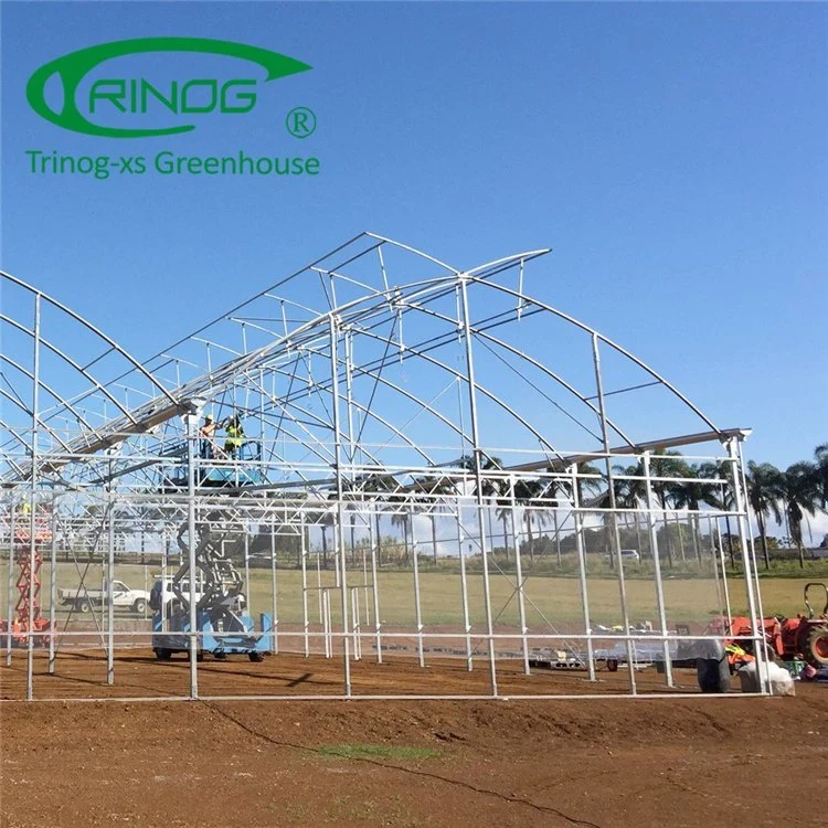 Commercial Film High Tunnel Multi-span Greenhouse