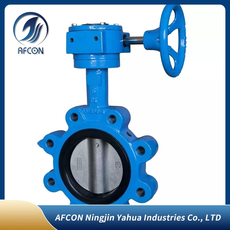 Custom Ductile Iron / Cast Iron Wafer Butterfly Valve