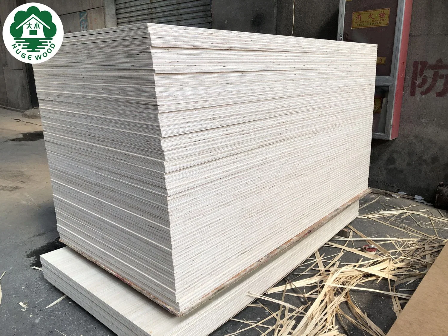 Oak Poplar Veneer Plywood Board with Melamine Paper Plywood Sheet