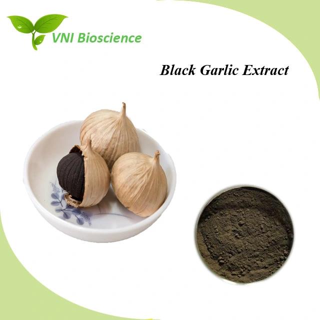 Kosher & Halal 100% Natural Black Garlic Plant Extract