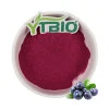 100% Pure Freeze frutas secas pó Wild Bulk Blueberry Powder