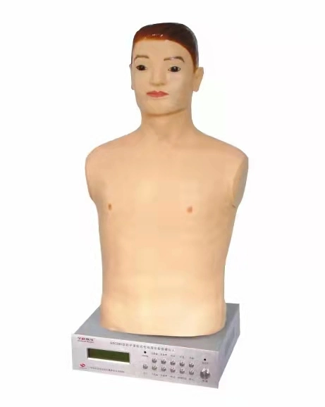 for Sale Cheap Medical Teaching CPR Manikin and First Aid Training Dummy