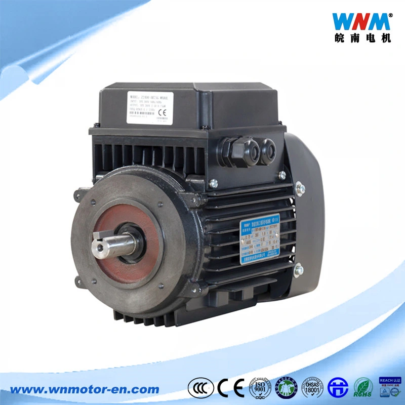 Yvf Yvp Frequency Variable Three Phase AC Electric Motor VFD Inverted Duty 5~100Hz Squirrel Cage Induction Motors 0.18~375kw