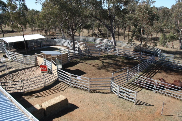 Galvanized Cattle Yards Panel with Gate