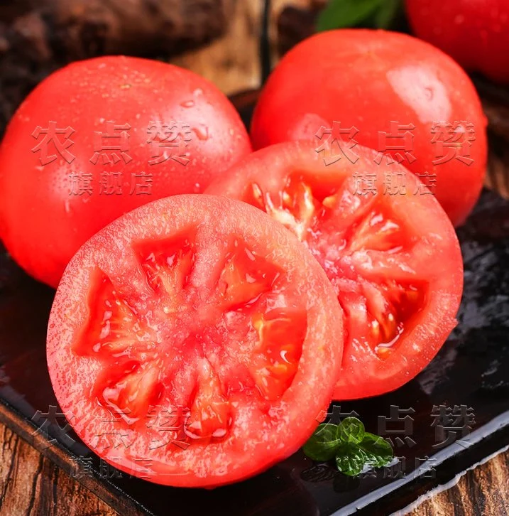 High quality/High cost performance Healthy Red Tomato Seed Vegetable Seeds