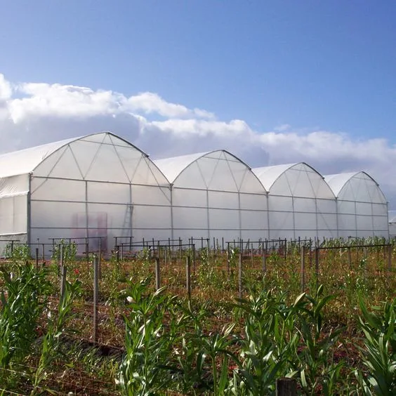 Agricultural Greenhouse with Fertilizer System