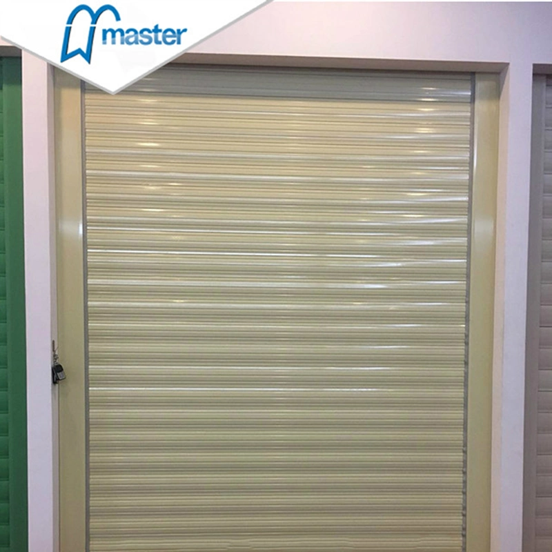 Galvanized Steel Roller Shutter Doors / Rolling Door/Remote Control for Car Door