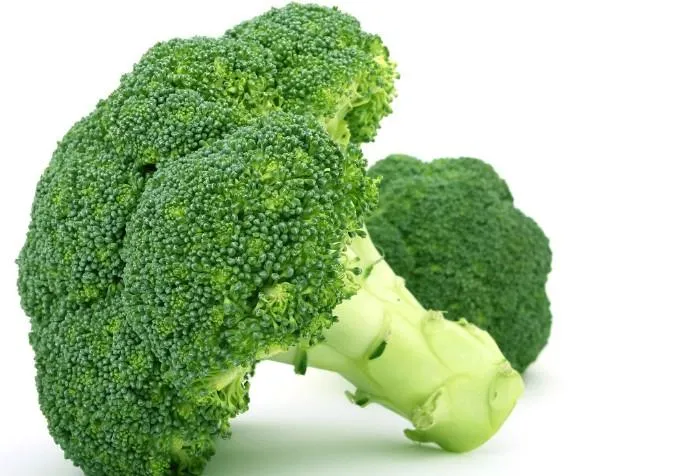 Food Additive Glucoraphanin 15-30% Broccoli Seed Extract