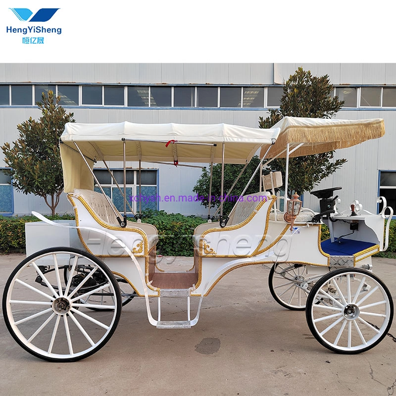 Special Transportation for Sightseeing Horse Carriage for Sale