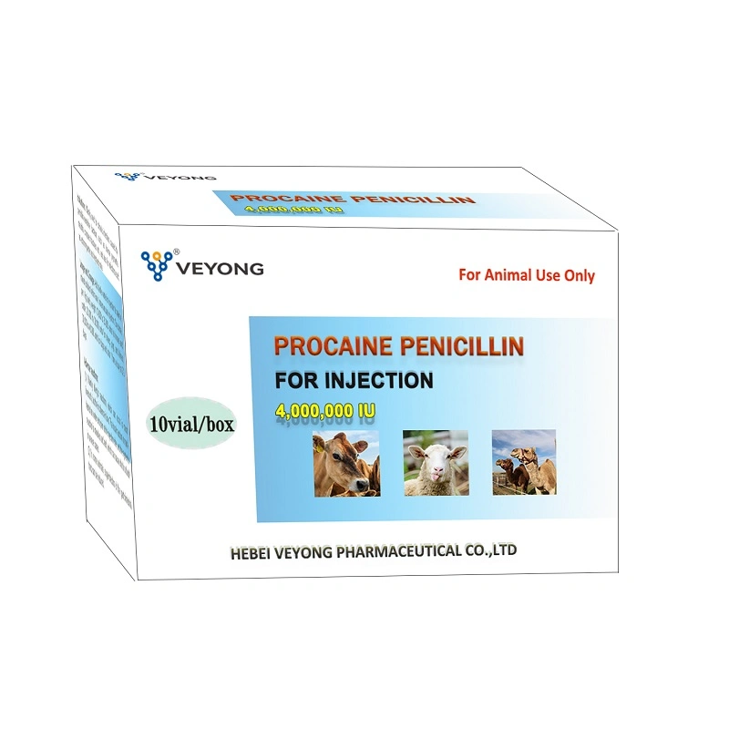 الرعاية الصحية 400، 000، 000iu Pinicillin Powder للحقن دواء البيطري السعر