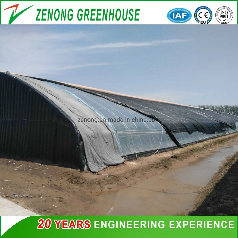 Chinese Po Film Greenhouse Solar Greenhouse with Cooling System for Growing Flowers/Tomato