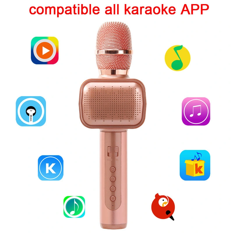 USB Wireless Microphone Karaoke Microphone Speaker with LED Flash Light